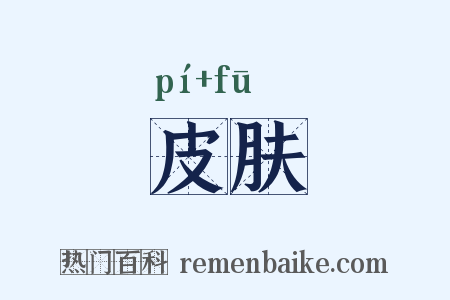 皮肤是什么意思的图片